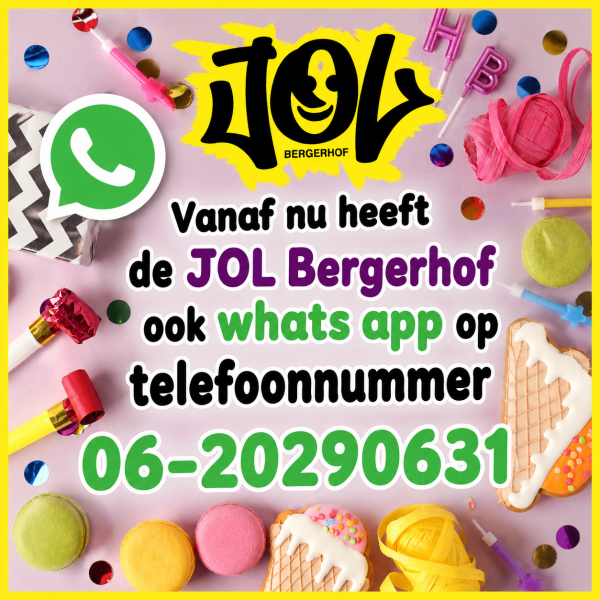 whatsapp website